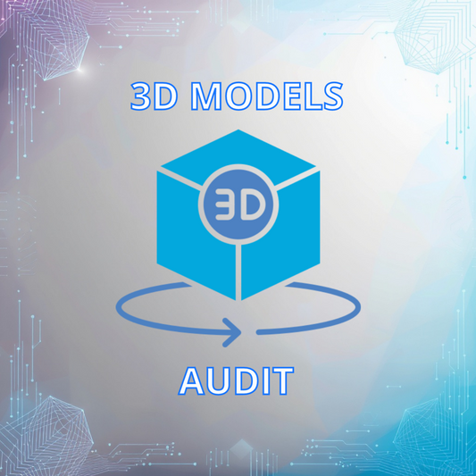 3D Models Audit